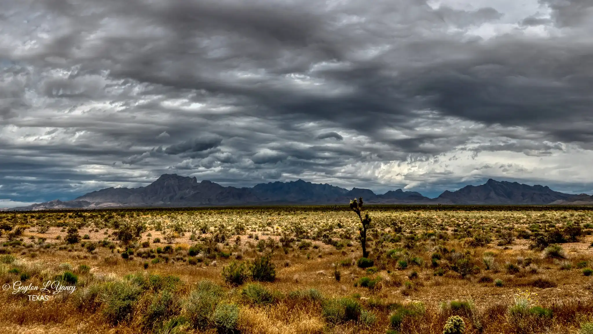 A Nevada landscape backdrop for Federal Agencies sector